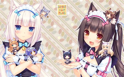 nekopara|neko para anime.